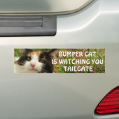 Bumper Cat kijkt naar TAILGATE 8 Bumpersticker (Op auto)