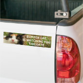 Bumper Cat kijkt naar TAILGATE 8 Bumpersticker (Op Truck)