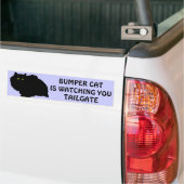 Bumper Cat kijkt naar TAILGATE 9 Bumpersticker (Op Truck)