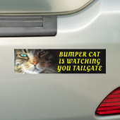 Bumper Cat kijkt naar TAILGATE Oleo Lettertype Bumpersticker (Op auto)