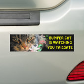 Bumper Cat kijkt naar You Meme TAILGATE 3 Bumpersticker (Op auto)