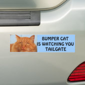 Bumper Cat kijkt naar You TAILGATE 14 Bumpersticker (Op auto)