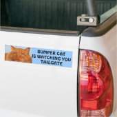 Bumper Cat kijkt naar You TAILGATE 14 Bumpersticker (Op Truck)