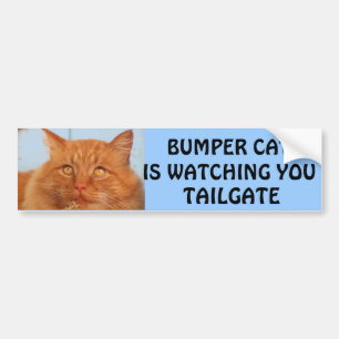 Bumper Cat kijkt naar You TAILGATE 14 Bumpersticker