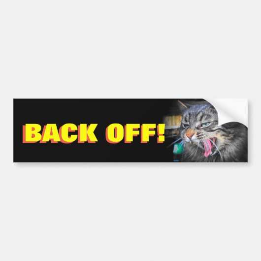 Bumper Cat Screams Back van Animal Meme Bumpersticker (Voorkant)