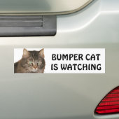 Bumper Cat volgt Bumpersticker (Op auto)
