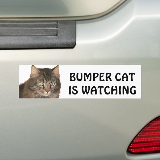 Bumper Cat volgt Bumpersticker (Op auto)