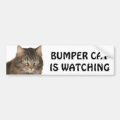 Bumper Cat volgt Bumpersticker (Voorkant)