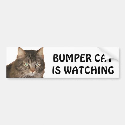 Bumper Cat volgt Bumpersticker (Voorkant)