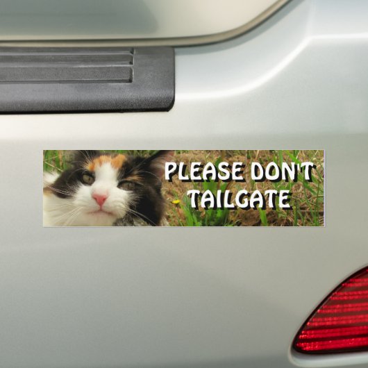 Bumper Cat wil dat je me verlaat Bumpersticker (Op auto)