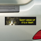 Bumper Cat zegt dat je geen meme mag opgroeien Bumpersticker (Op auto)