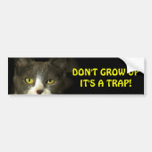 Bumper Cat zegt dat je geen meme mag opgroeien Bumpersticker (Voorkant)