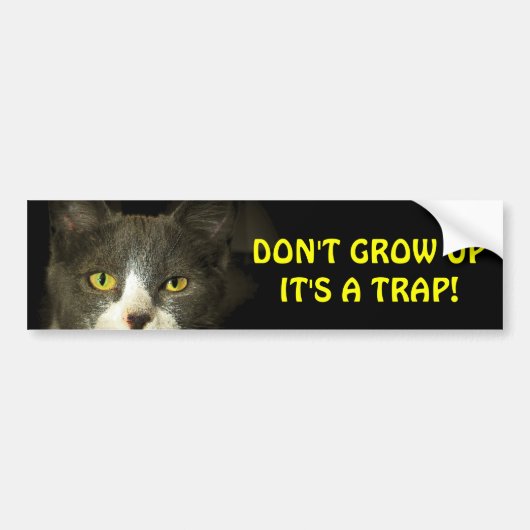 Bumper Cat zegt dat je geen meme mag opgroeien Bumpersticker (Voorkant)