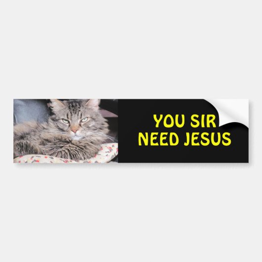 Bumper Cat zegt: "U heeft Jezus nodig" Bumpersticker (Voorkant)
