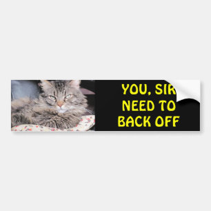 Bumper Cat zegt: "U moet terug" Bumpersticker