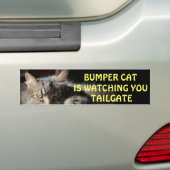 Bumper Kat kijkt naar TAILGATE 15 Bumpersticker (Op auto)