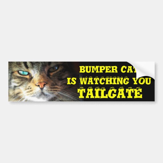 Bumper Kat kijkt naar TAILGATE 2 (oogbollettertype Bumpersticker (Voorkant)