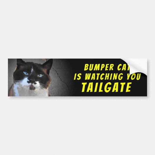 Bumper Kat kijkt naar TAILGATE 46 Bumpersticker (Voorkant)