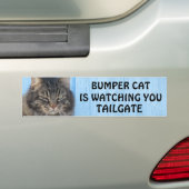 Bumper Kat kijkt naar TAILGATE 6 meme Bumpersticker (Op auto)