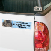 Bumper Kat kijkt naar TAILGATE 6 meme Bumpersticker (Op Truck)