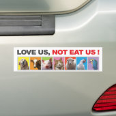 bumper, sticker, dieren, vegetariër, liefde bumpersticker (Op auto)