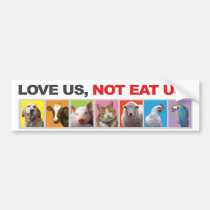 bumper, sticker, dieren, vegetariër, liefde bumpersticker