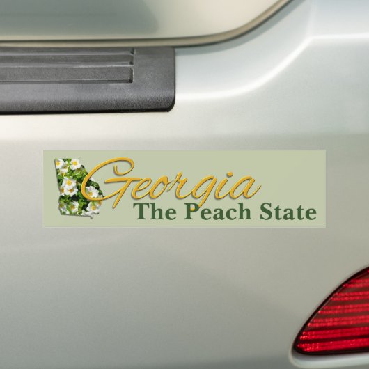 Bumper Sticker - GEORGIA (Op auto)