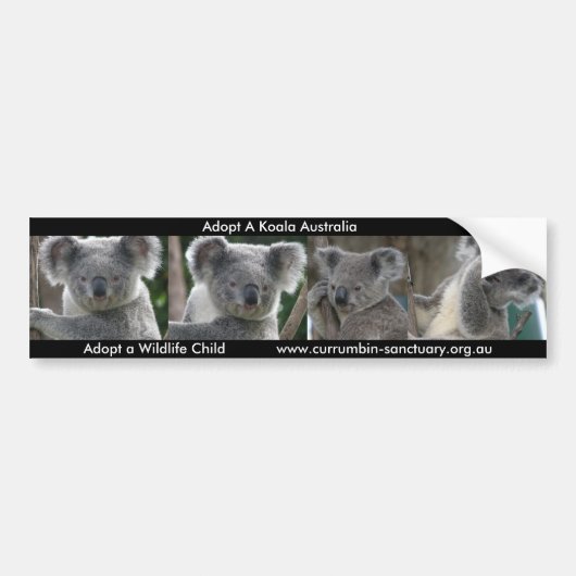 Bumper Sticker Koala Adopter Australië (Voorkant)