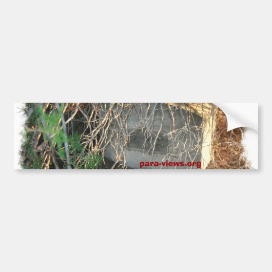 bumper voor para-Uitzichten Bumpersticker (Voorkant)