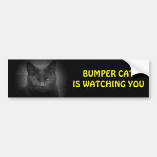 Bumper (zwart) Kat kijkt naar Bumpersticker