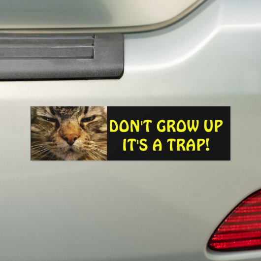 Bumperkat groeit niet op in meme bumpersticker (Op auto)