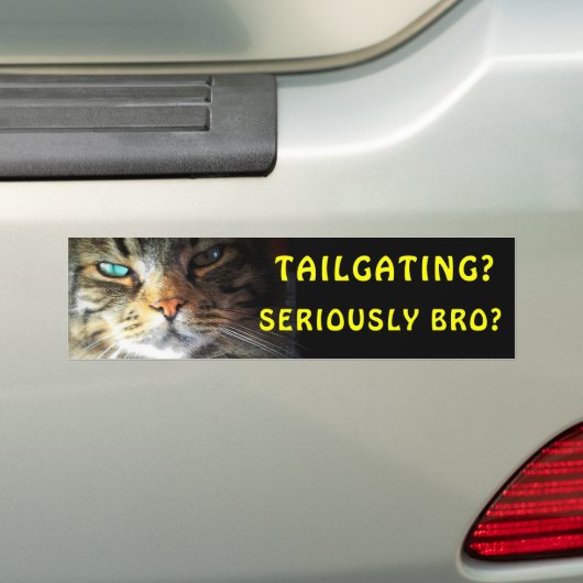 Bumperkat: Tailgating? Serieus Bro? Meme Bumpersticker (Op auto)