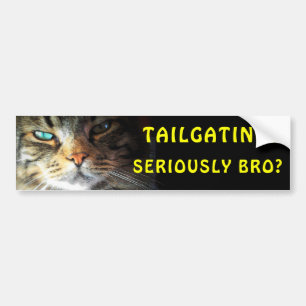 Bumperkat: Tailgating? Serieus Bro? Meme Bumpersticker