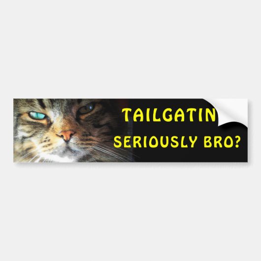 Bumperkat: Tailgating? Serieus Bro? Meme Bumpersticker (Voorkant)