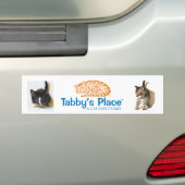 Bumpersticker (Op auto)
