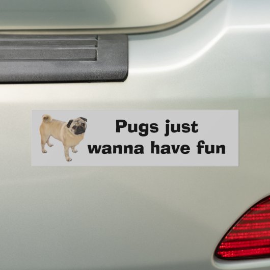 Bumpersticker (Op auto)