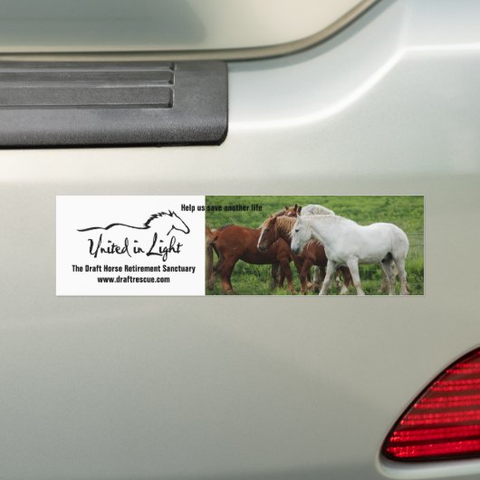 Bumpersticker (Op auto)