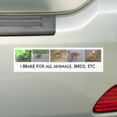 Bumpersticker (Op auto)