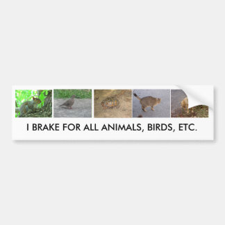 Bumpersticker