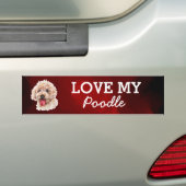 Bumpersticker (Op auto)