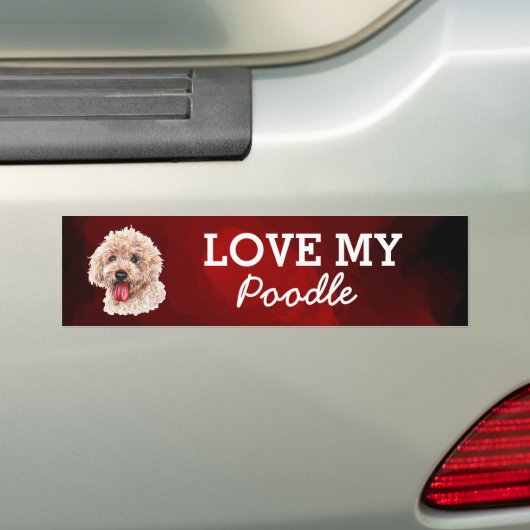 Bumpersticker (Op auto)