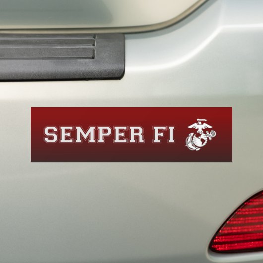 Bumpersticker (Op auto)