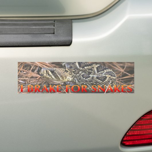 Bumpersticker (Op auto)