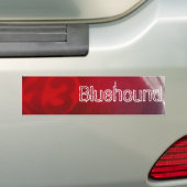 Bumpersticker (Op auto)
