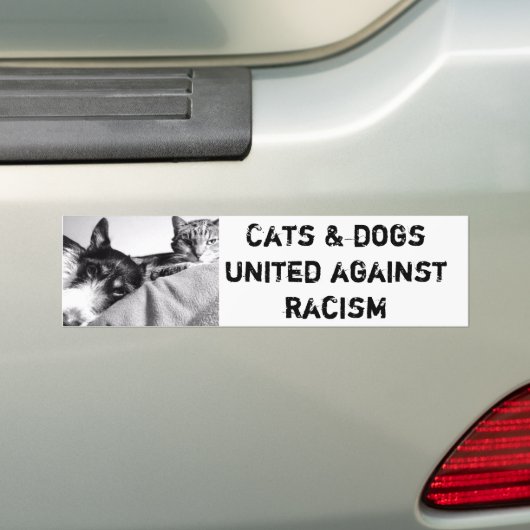 Bumpersticker (Op auto)