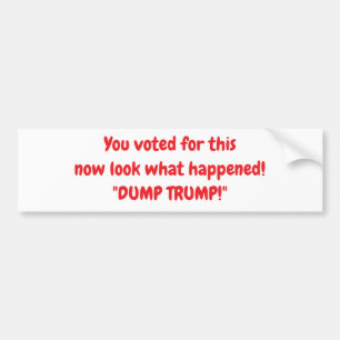  BUMPERSTICKER
