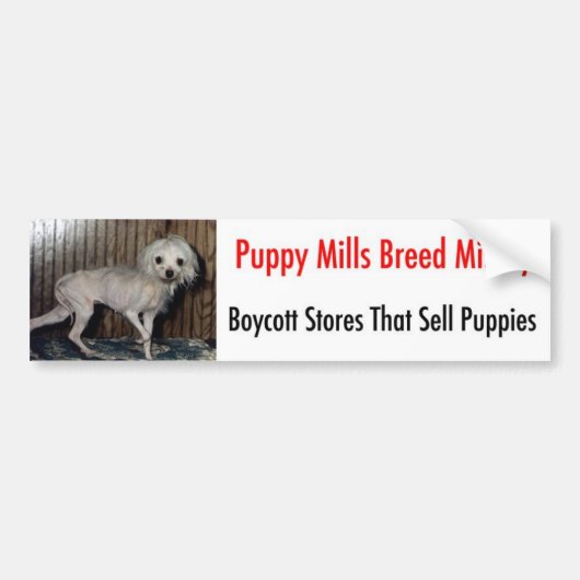Bumpersticker (Voorkant)