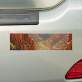 BUMPERSTICKER (Op auto)