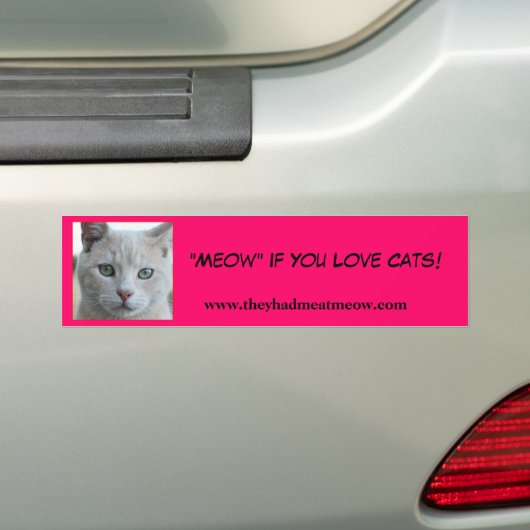Bumpersticker (Op auto)