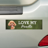 Bumpersticker (Op auto)